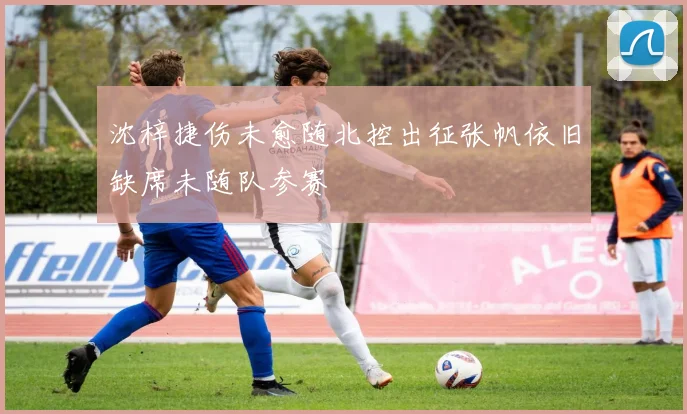 沈梓捷伤未愈随北控出征张帆依旧缺席未随队参赛