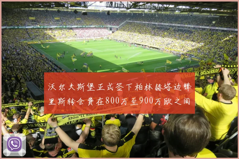 沃尔夫斯堡正式签下柏林赫塔边锋里斯转会费在800万至900万欧之间